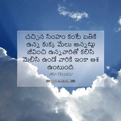 Picture 07 - ప్రసంగి 9:4 TELIRV - చచ్చిన సింహం కంటే - Bible Verse Picture