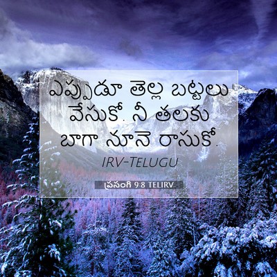 Picture 07 - ప్రసంగి 9:8 TELIRV - ఎప్పుడూ తెల్ల - Bible Verse Picture