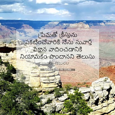 Picture 07 - ఫిలిప్పీ పత్రిక 1:16 TELIRV - ప్రేమతో - Bible Verse Picture