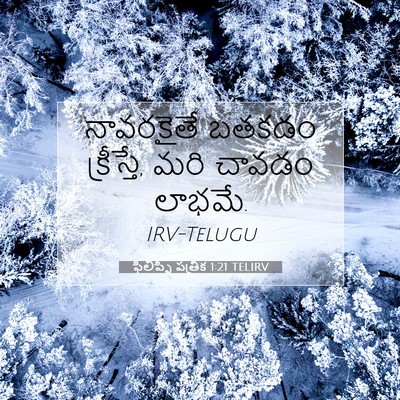 Picture 07 - ఫిలిప్పీ పత్రిక 1:21 TELIRV - నావరకైతే బతకడం - Bible Verse Picture