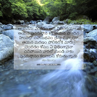 Picture 07 - ఫిలిప్పీ పత్రిక 3:11 TELIRV - ఆయనను ఎరగడం అనే - Bible Verse Picture