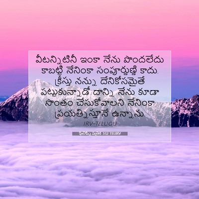 Picture 07 - ఫిలిప్పీ పత్రిక 3:12 TELIRV - వీటన్నిటినీ ఇంకా - Bible Verse Picture