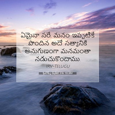 Picture 07 - ఫిలిప్పీ పత్రిక 3:16 TELIRV - ఏమైనా సరే, మనం - Bible Verse Picture