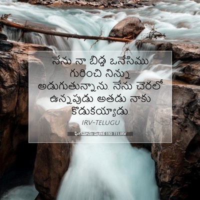 Picture 07 - ఫిలేమోను పత్రిక 1:10 TELIRV - నేను నా బిడ్డ - Bible Verse Picture