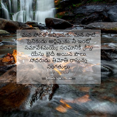 Picture 07 - ఫిలేమోను పత్రిక 1:2 TELIRV - మన సోదరి అప్ఫియకు, - Bible Verse Picture
