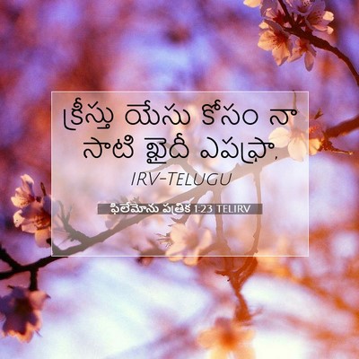 Picture 07 - ఫిలేమోను పత్రిక 1:23 TELIRV - క్రీస్తు యేసు - Bible Verse Picture