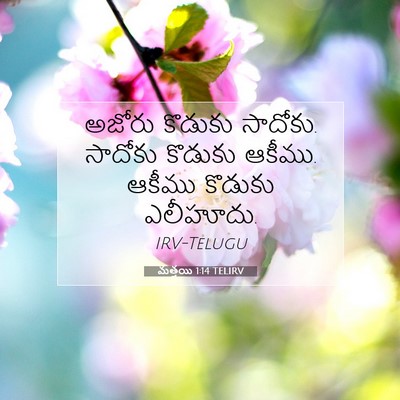Picture 07 - మత్తయి 1:14 TELIRV - అజోరు కొడుకు - Bible Verse Picture