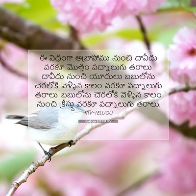 Picture 07 - మత్తయి 1:17 TELIRV - ఈ విధంగా - Bible Verse Picture