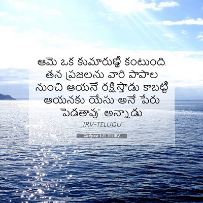 Picture 07 - మత్తయి 1:21 TELIRV - ఆమె ఒక కుమారుణ్ణి - Bible Verse Picture