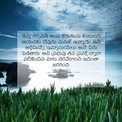 Picture 07 - మత్తయి 1:23 TELIRV - “‘కన్య గర్భవతి - Bible Verse Picture