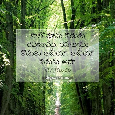 Picture 07 - మత్తయి 1:7 TELIRV - సొలొమోను కొడుకు - Bible Verse Picture