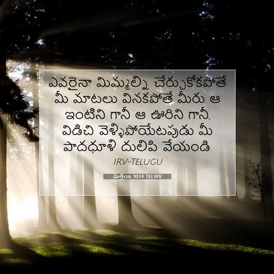 Picture 07 - మత్తయి 10:14 TELIRV - ఎవరైనా మిమ్మల్ని - Bible Verse Picture