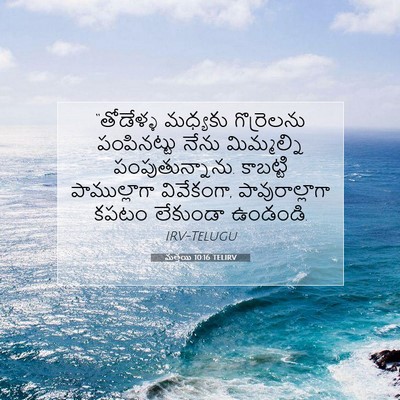 Picture 07 - మత్తయి 10:16 TELIRV - “తోడేళ్ళ మధ్యకు - Bible Verse Picture