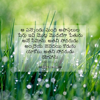 Picture 07 - మత్తయి 10:2 TELIRV - ఆ పన్నెండు మంది - Bible Verse Picture