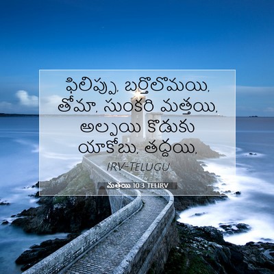 Picture 07 - మత్తయి 10:3 TELIRV - ఫిలిప్పు, - Bible Verse Picture