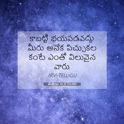 Picture 07 - మత్తయి 10:31 TELIRV - కాబట్టి - Bible Verse Picture