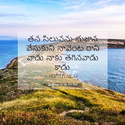Picture 07 - మత్తయి 10:38 TELIRV - తన సిలువను భుజాన - Bible Verse Picture