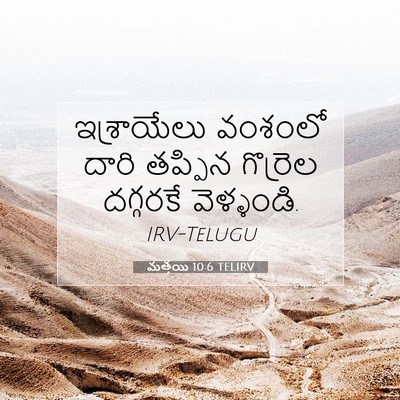 Picture 07 - మత్తయి 10:6 TELIRV - ఇశ్రాయేలు వంశంలో - Bible Verse Picture