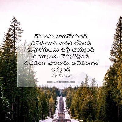 Picture 07 - మత్తయి 10:8 TELIRV - రోగులను - Bible Verse Picture