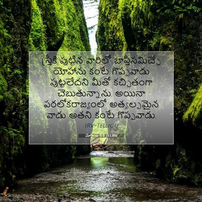 Picture 07 - మత్తయి 11:11 TELIRV - స్త్రీకి పుట్టిన - Bible Verse Picture