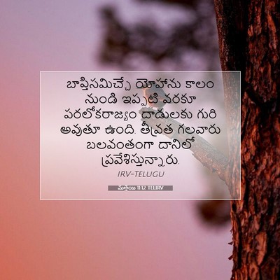 Picture 07 - మత్తయి 11:12 TELIRV - బాప్తిసమిచ్చే - Bible Verse Picture
