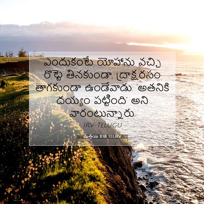 Picture 07 - మత్తయి 11:18 TELIRV - ఎందుకంటే యోహాను - Bible Verse Picture