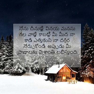 Picture 07 - మత్తయి 11:29 TELIRV - నేను దీనుణ్ణి, - Bible Verse Picture