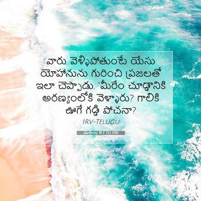 Picture 07 - మత్తయి 11:7 TELIRV - వారు - Bible Verse Picture