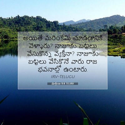Picture 07 - మత్తయి 11:8 TELIRV - అయితే మరింకేమి - Bible Verse Picture