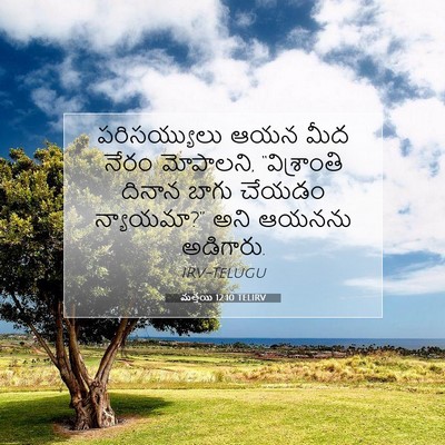 Picture 07 - మత్తయి 12:10 TELIRV - పరిసయ్యులు ఆయన - Bible Verse Picture