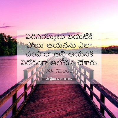 Picture 07 - మత్తయి 12:14 TELIRV - పరిసయ్యులు బయటికి - Bible Verse Picture