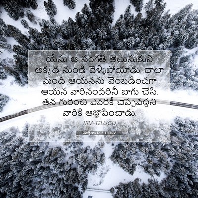 Picture 07 - మత్తయి 12:15 TELIRV - యేసు ఆ సంగతి - Bible Verse Picture