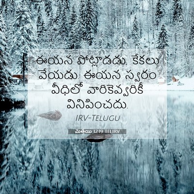 Picture 07 - మత్తయి 12:19 TELIRV - ఈయన పోట్లాడడు, - Bible Verse Picture
