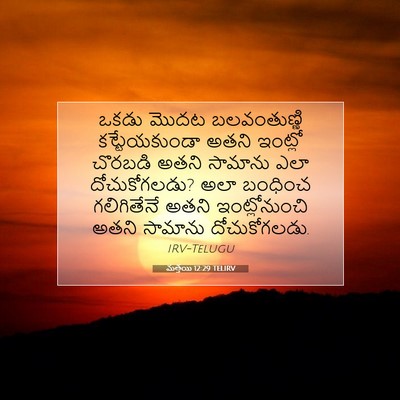 Picture 07 - మత్తయి 12:29 TELIRV - ఒకడు మొదట - Bible Verse Picture