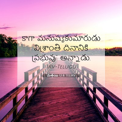 Picture 07 - మత్తయి 12:8 TELIRV - కాగా - Bible Verse Picture