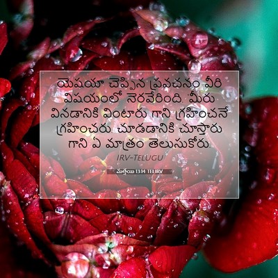 Picture 07 - మత్తయి 13:14 TELIRV - యెషయా చెప్పిన - Bible Verse Picture