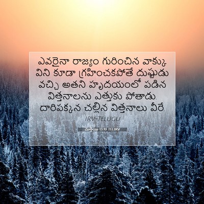 Picture 07 - మత్తయి 13:19 TELIRV - ఎవరైనా రాజ్యం - Bible Verse Picture