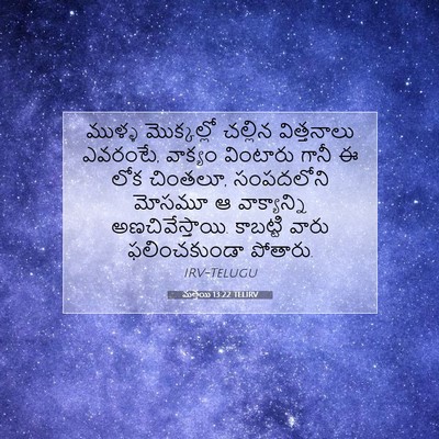 Picture 07 - మత్తయి 13:22 TELIRV - ముళ్ళ మొక్కల్లో - Bible Verse Picture