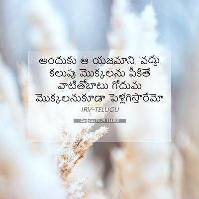 Picture 07 - మత్తయి 13:29 TELIRV - అందుకు ఆ యజమాని, - Bible Verse Picture