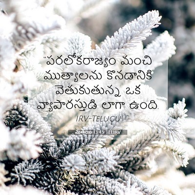 Picture 07 - మత్తయి 13:45 TELIRV - “పరలోకరాజ్యం మంచి - Bible Verse Picture