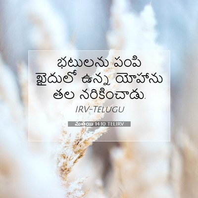 Picture 07 - మత్తయి 14:10 TELIRV - భటులను పంపి - Bible Verse Picture