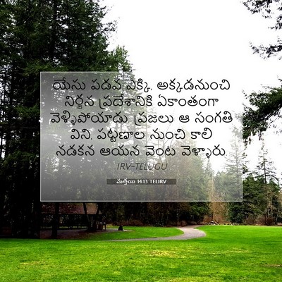 Picture 07 - మత్తయి 14:13 TELIRV - యేసు పడవ ఎక్కి, - Bible Verse Picture