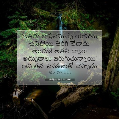 Picture 07 - మత్తయి 14:2 TELIRV - “ఇతడు - Bible Verse Picture
