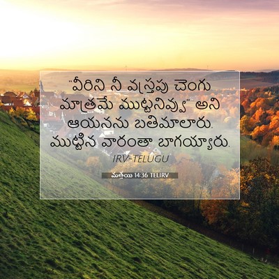 Picture 07 - మత్తయి 14:36 TELIRV - “వీరిని నీ - Bible Verse Picture