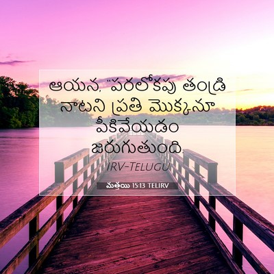 Picture 07 - మత్తయి 15:13 TELIRV - ఆయన, “పరలోకపు - Bible Verse Picture