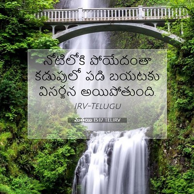 Picture 07 - మత్తయి 15:17 TELIRV - నోటిలోకి పోయేదంతా - Bible Verse Picture