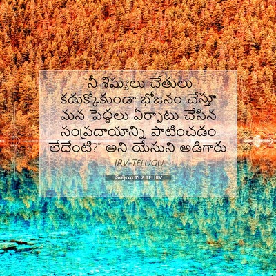 Picture 07 - మత్తయి 15:2 TELIRV - “నీ శిష్యులు - Bible Verse Picture
