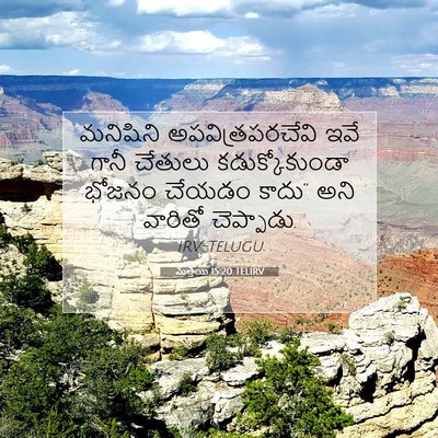 Picture 07 - మత్తయి 15:20 TELIRV - మనిషిని - Bible Verse Picture
