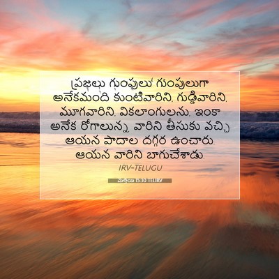 Picture 07 - మత్తయి 15:30 TELIRV - ప్రజలు గుంపులు - Bible Verse Picture
