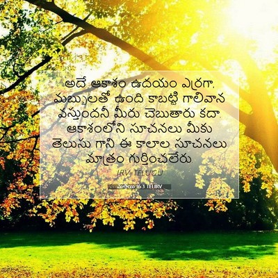 Picture 07 - మత్తయి 16:3 TELIRV - అదే ఆకాశం ఉదయం - Bible Verse Picture